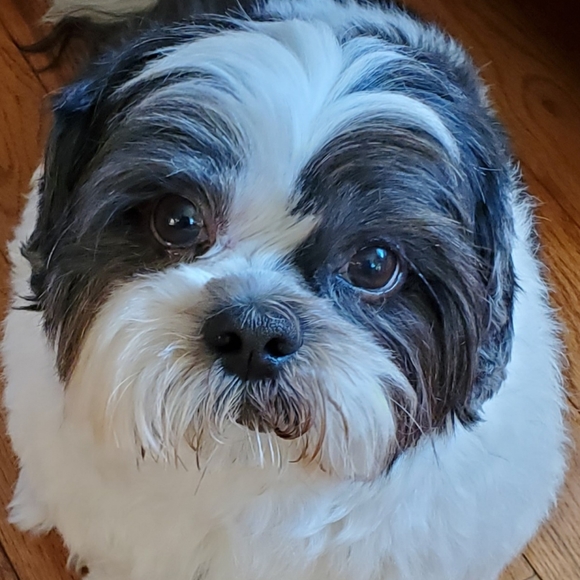 ❤Offers Welcome❤️ - Picture 3 of 11